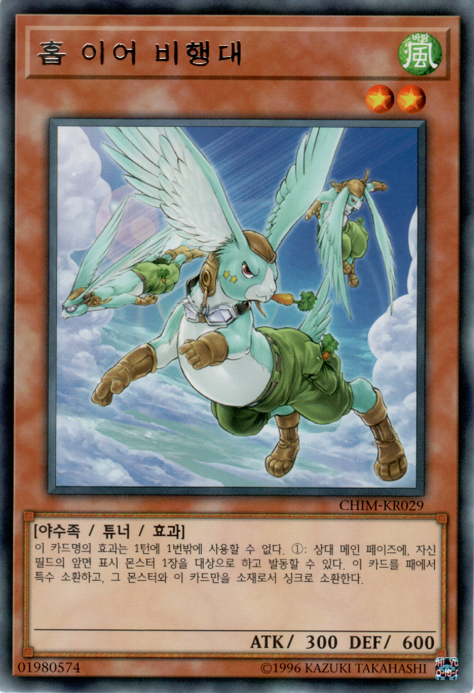 홉 이어 비행대
