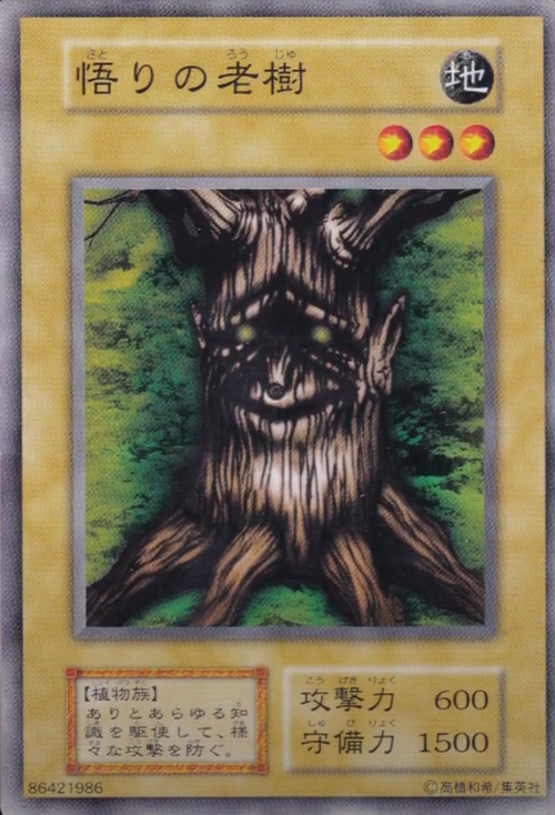 teee様 teee様