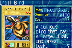 DrollBird-TSC-EU-VG.png