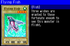 FlyingFish-SDD-EN-VG.png
