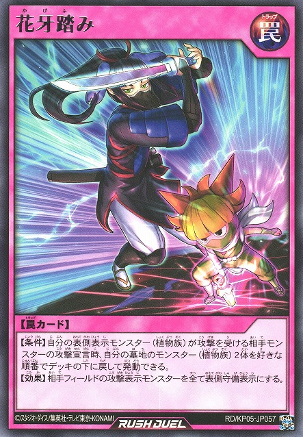 Shadow Flower Stance - Yugipedia