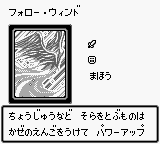 FollowWind-DM1-JP-VG.png