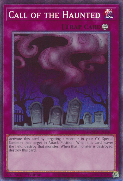 Ruf der Gejagten (Call of the Haunted)
