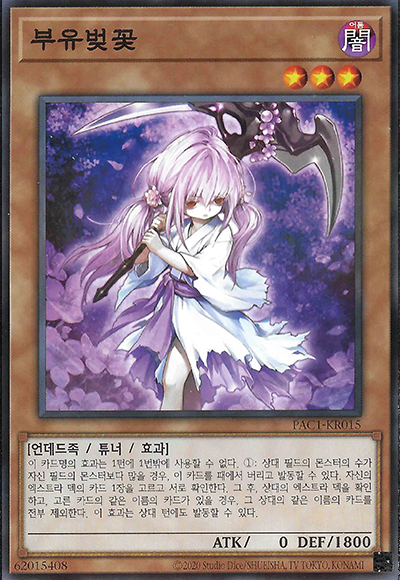 부유벚꽃