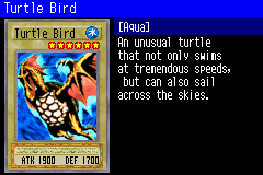 TurtleBird-SDD-EN-VG.png