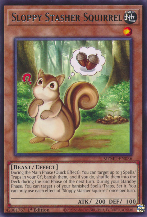 Vergessliches Verbuddel-Eichhörnchen (Sloppy Stasher Squirrel)