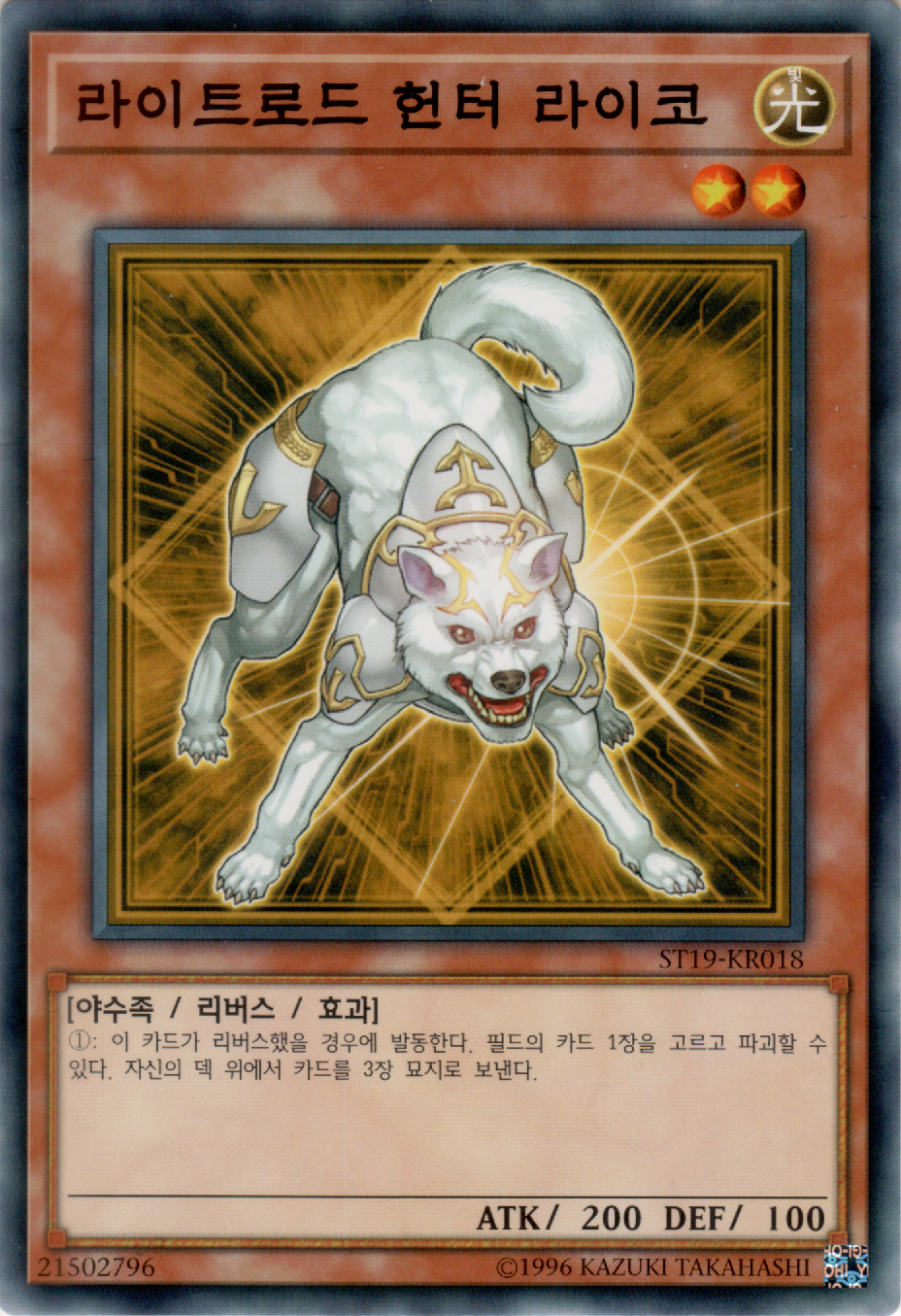 라이트로드 헌터 라이코