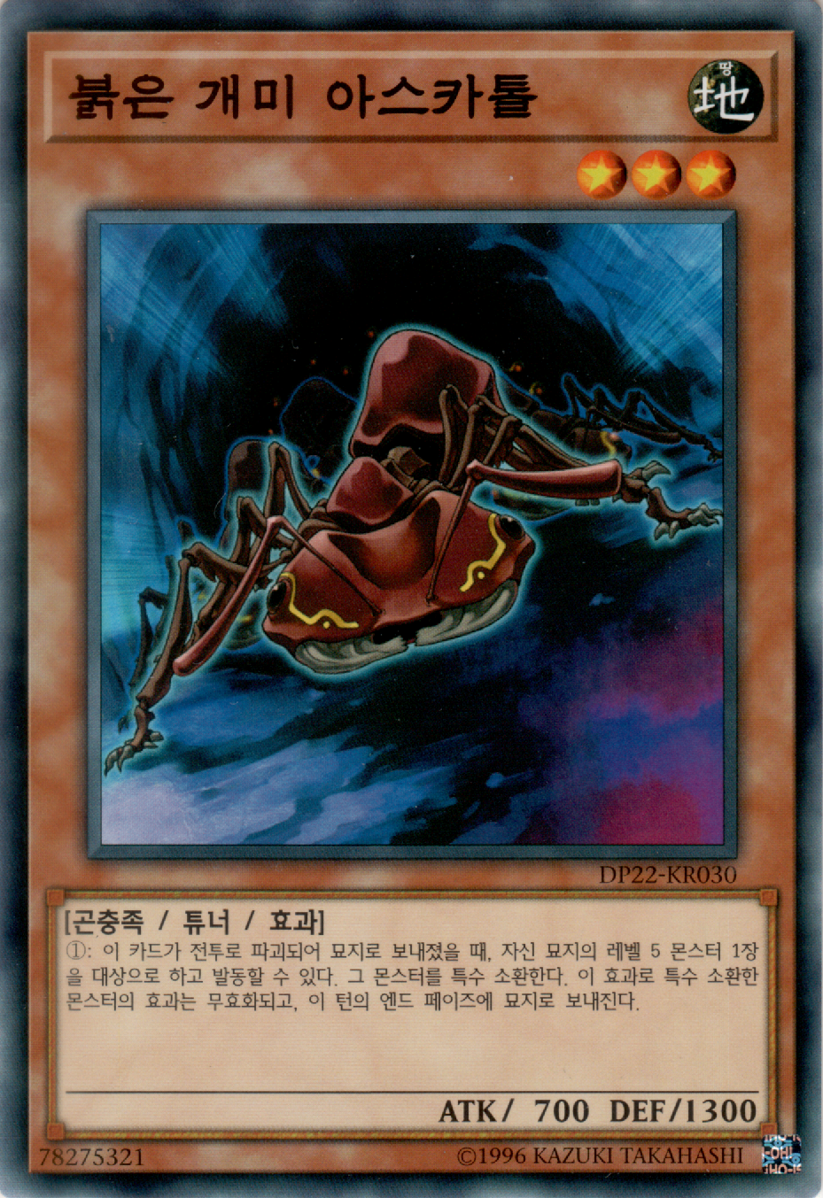 붉은 개미 아스카톨