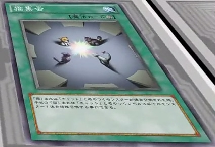 Cat Meeting - Yugipedia