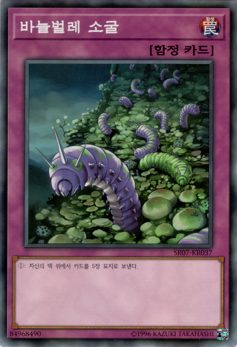 바늘벌레 소굴