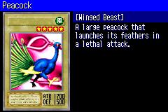 Peacock-EDS-NA-VG.png