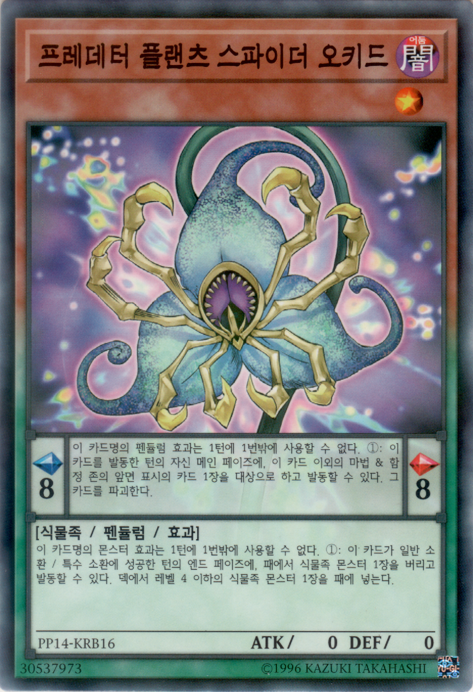 프레데터 플랜츠 스파이더 오키드