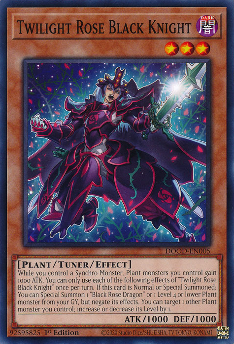 Schwarzer Zwielichtsrosen-Ritter (Twilight Rose Black Knight)