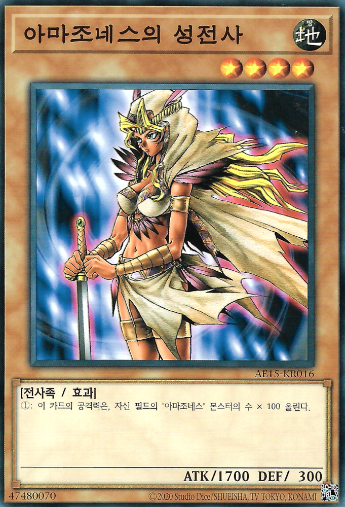 아마조네스의 성전사