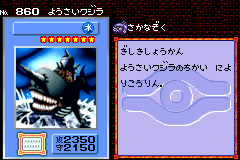 FortressWhale-DM5-JP-VG.png