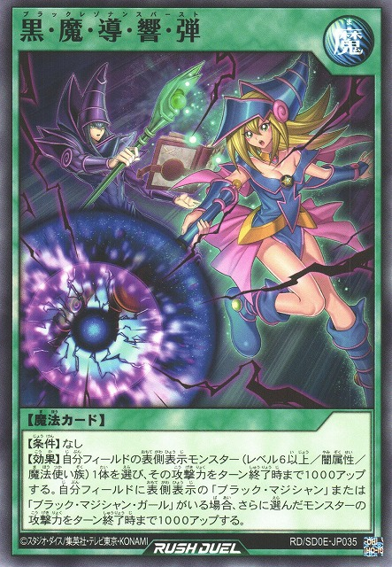 命を捧げた攻略法 RRR BGS10 ブラック ロクでなし魔術講師と禁忌教典