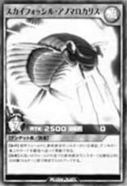 知る人ぞ知る！オーストラリアの異形ゾウムシGagatophorus！ 知る人ぞ知る！オーストラリアの異形ゾウムシGagatophorus