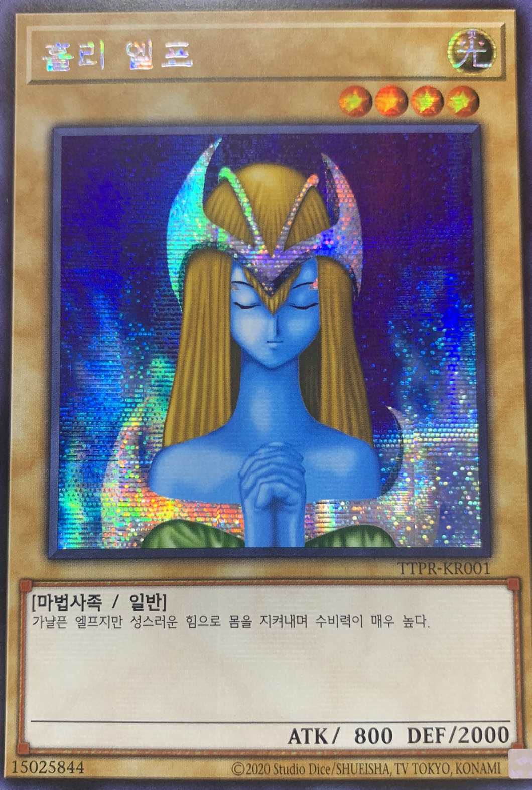 홀리 엘프