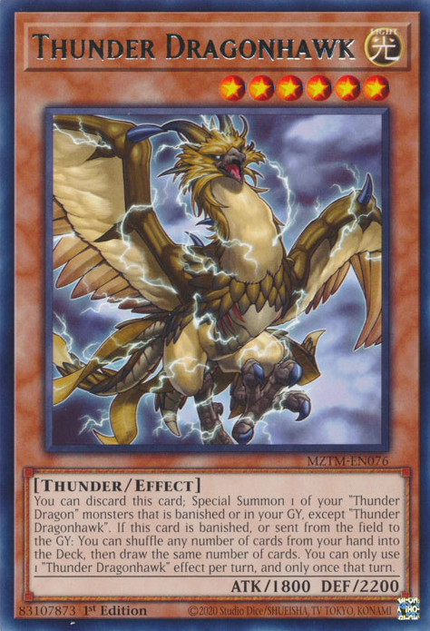 Donnerdrachen-Falke (Thunder Dragonhawk)