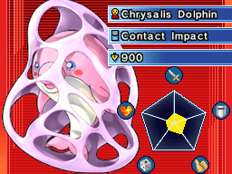 Chrysalis Dolphin