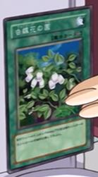 InsectGarden-JP-Anime-GX.png