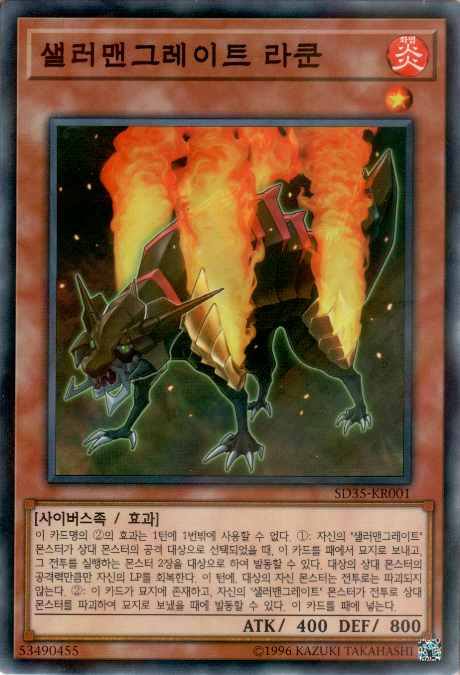 샐러맨그레이트 라쿤