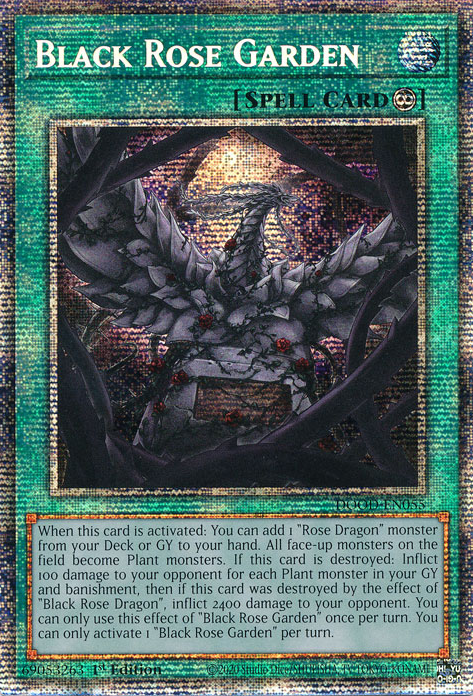 Black Rose Garden