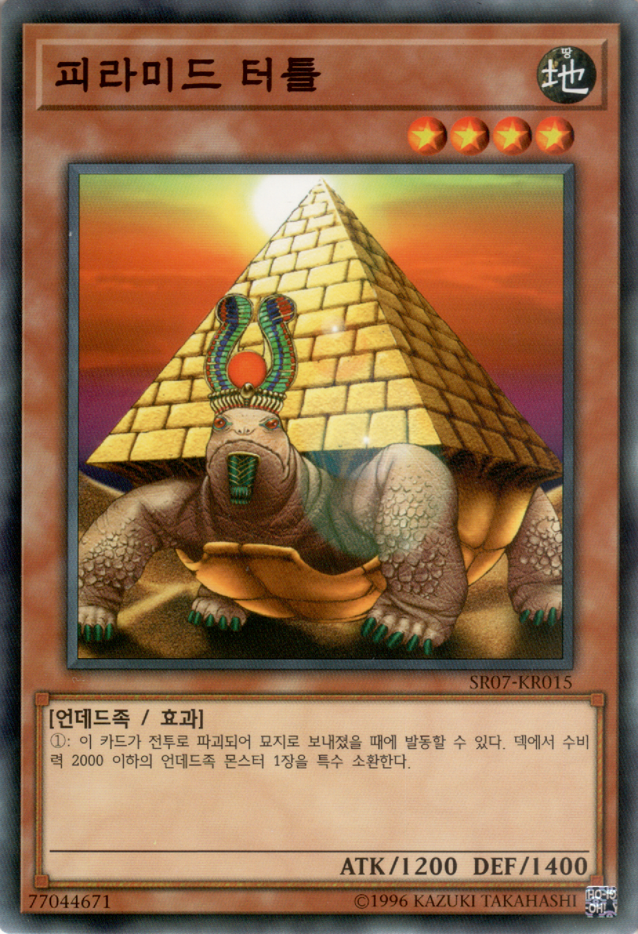피라미드 터틀
