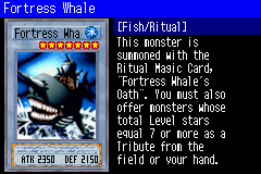 FortressWhale-SDD-EN-VG.png