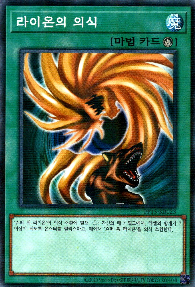 라이온의 의식