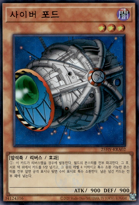 사이버 포드