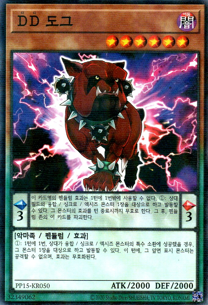 DD 도그