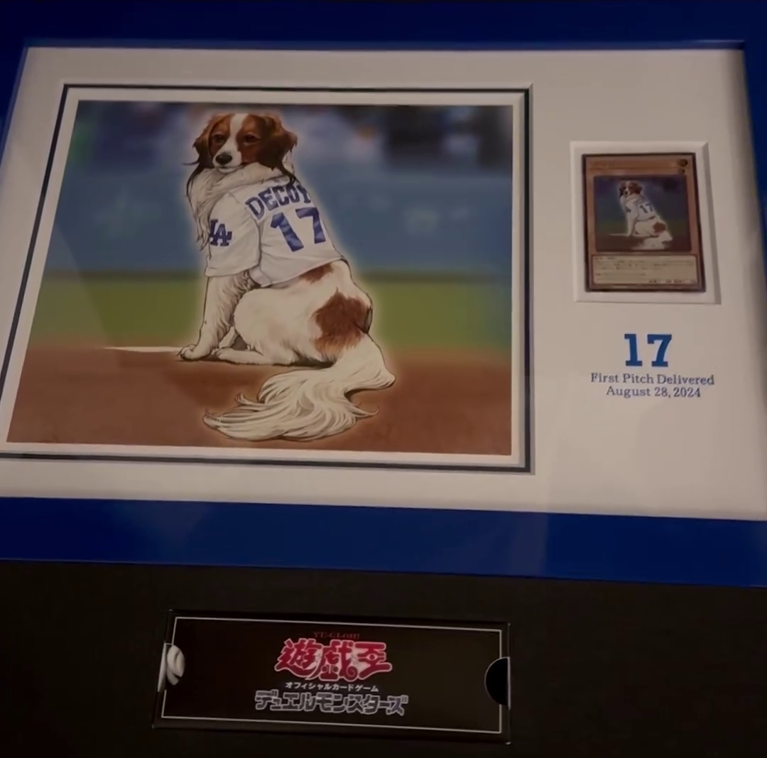 Gift for Shohei Ohtani