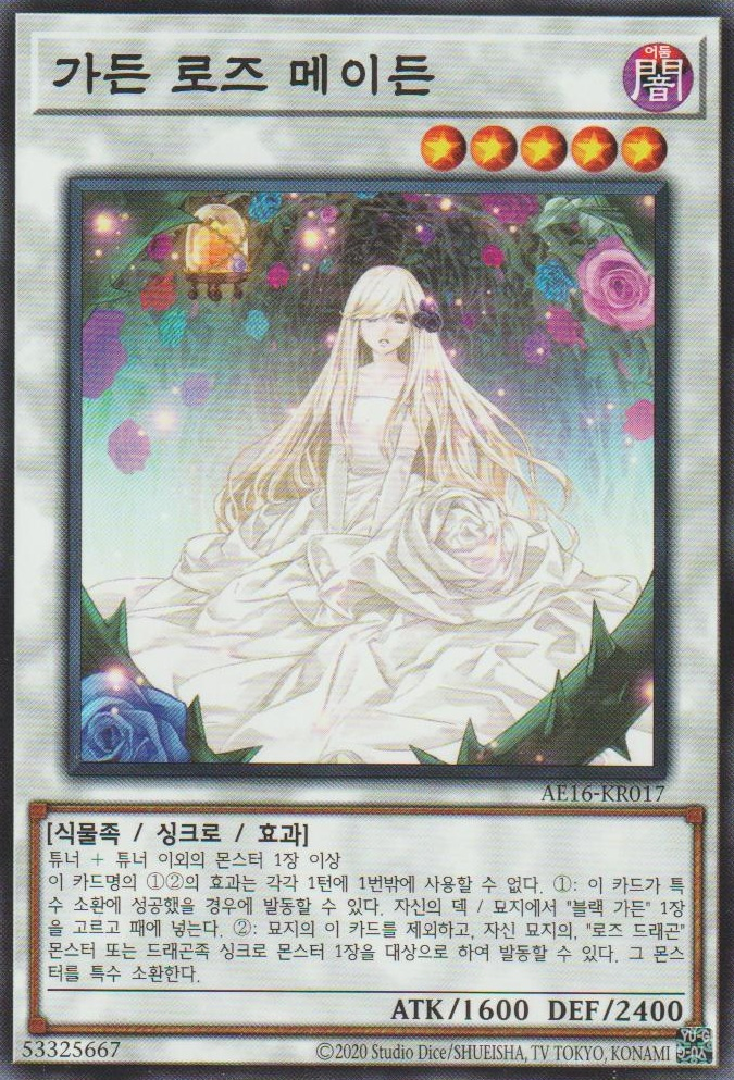가든 로즈 메이든
