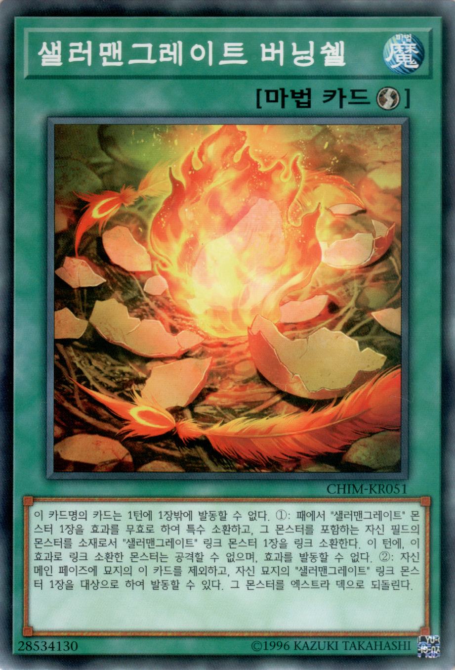 샐러맨그레이트 버닝쉘