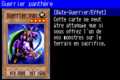 PantherWarrior-SDD-FR-VG.png