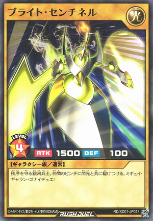 BrightSentinel-RDSD01-JP-C.png