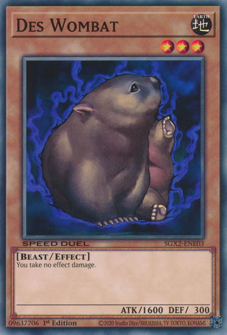 DesWombat-SGX2-EN-C-1E.png
