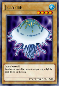 Jellyfish-DULI-EN-VG.png