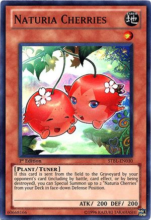 NATURIA DECK 90 | Exterio Barkion Cherries Beast Bamboo Shoot Tulip – Yu-Gi-Oh TCG Cards