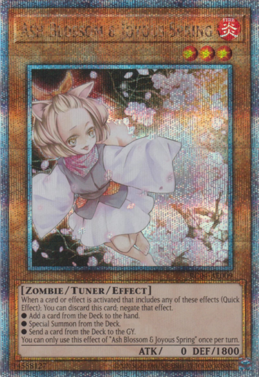 Quarter Century Secret Rare - Yugipedia