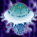 Jellyfish-TF05-JP-VG-artwork.png