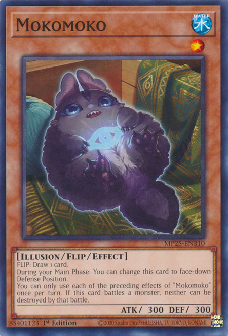 Mokomoko-MP25-EN-C-1E.png