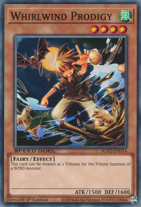 WhirlwindProdigy-SGX2-EN-C-1E.png