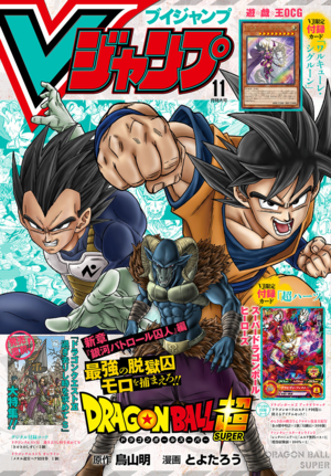 VJMP-2019-11-Cover.png