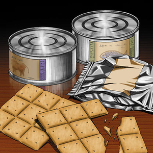 EmergencyProvisions-OW.png