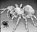 ArachnoCannibalism-EN-Manga-ZX-CA.png