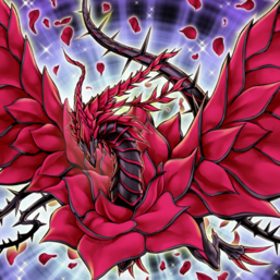 "Black Rose Dragon"