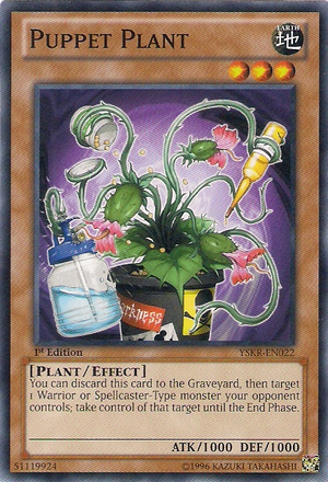 PuppetPlant-YSKR-EN-C-1E.png