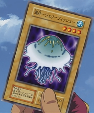 Jellyfish-JP-Anime-DM.png